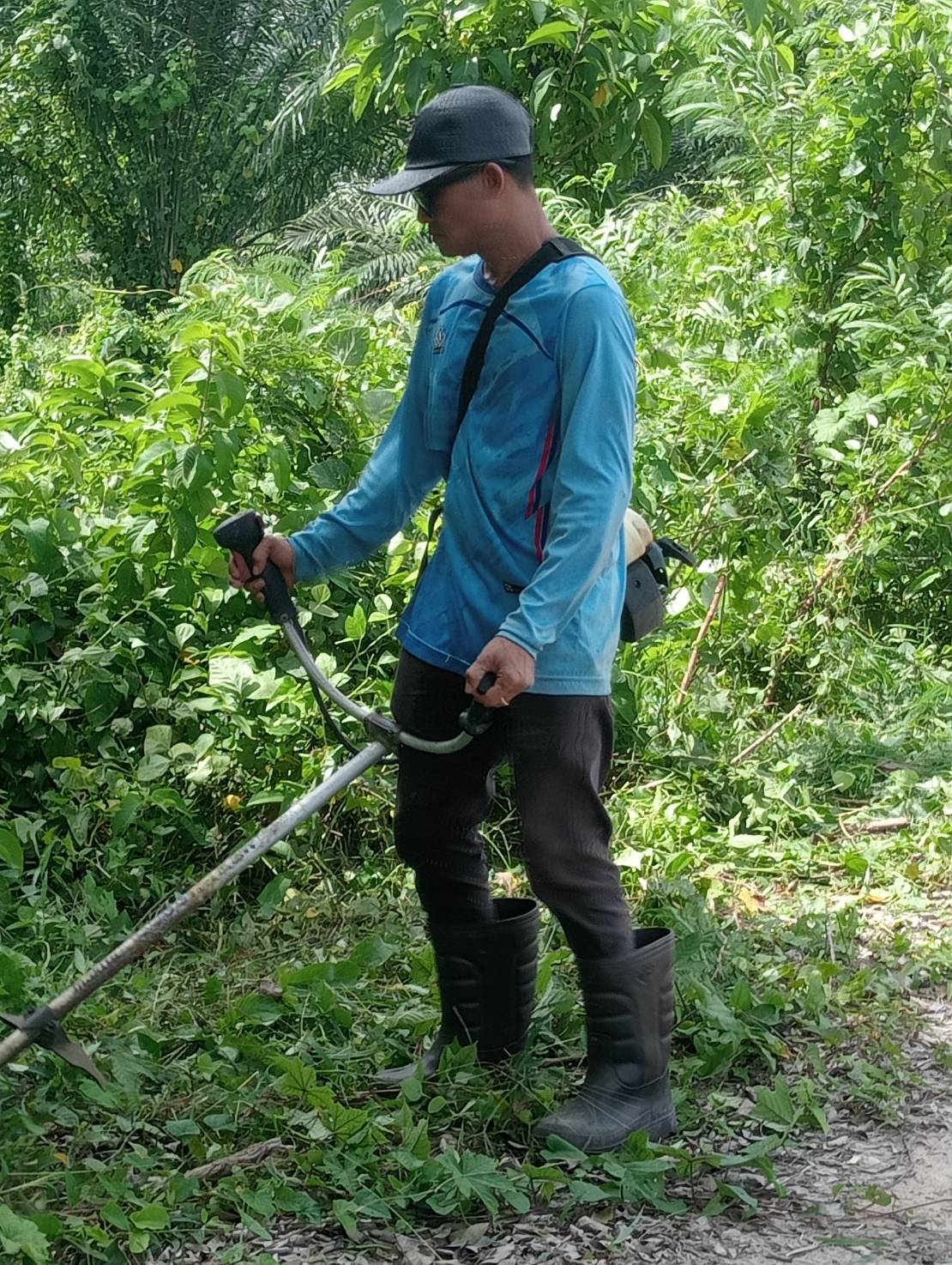 ลงพื้นที่ตัดหญ้าถนน 2 ข้างทาง สายวังหิน - วังพญาคา